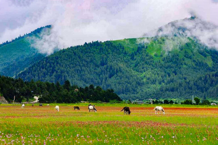 Kathmandu to Dhorpatan Tour Package